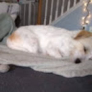 Meet your Posher, Jacinda